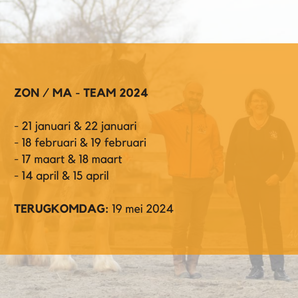 datums Team