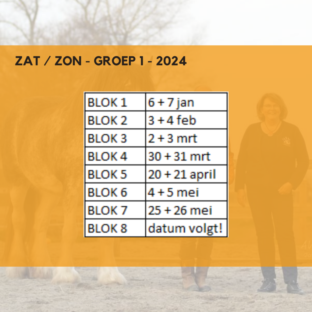 limburg dtaa